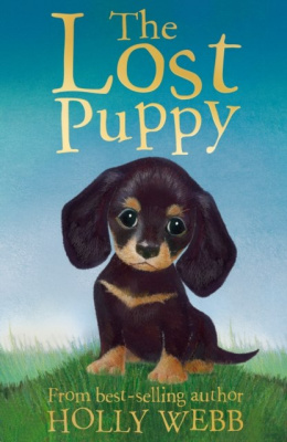 The Lost Puppy by Holly Webb (Author)