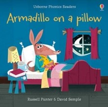 Armadillo on a Pillow by Russell Punter