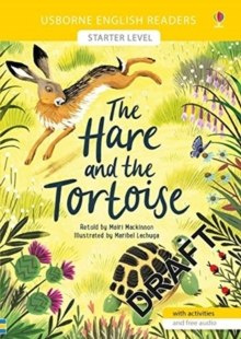 Hare and the Tortoise by Mairi Mackinnon