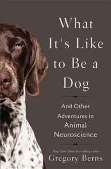 What It's Like to Be a Dog : And Other Adventures in Animal Neuroscience by Gregory Berns