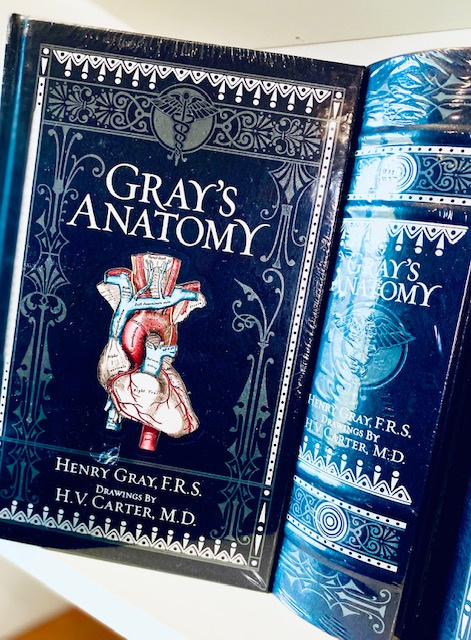 Gray's Anatomy (Barnes & Noble Omnibus Leatherbound Classics) by Henry Gray Gray's Anatomy (Barnes & Noble Omnibus Leatherbound Classics) by Henry Gray