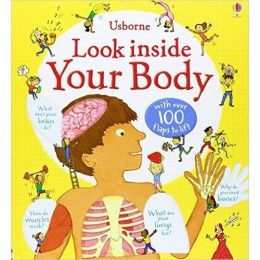 Look Inside: Your Body by Louie Stowell