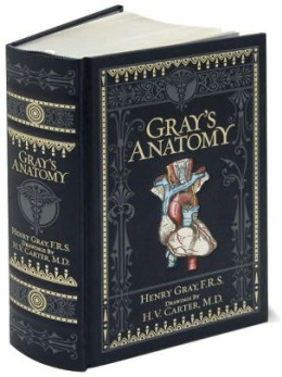 Gray's Anatomy (Barnes & Noble Omnibus Leatherbound Classics) by Henry Gray