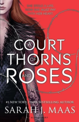 A Court of Thorns and Roses by Sarah J.Maas